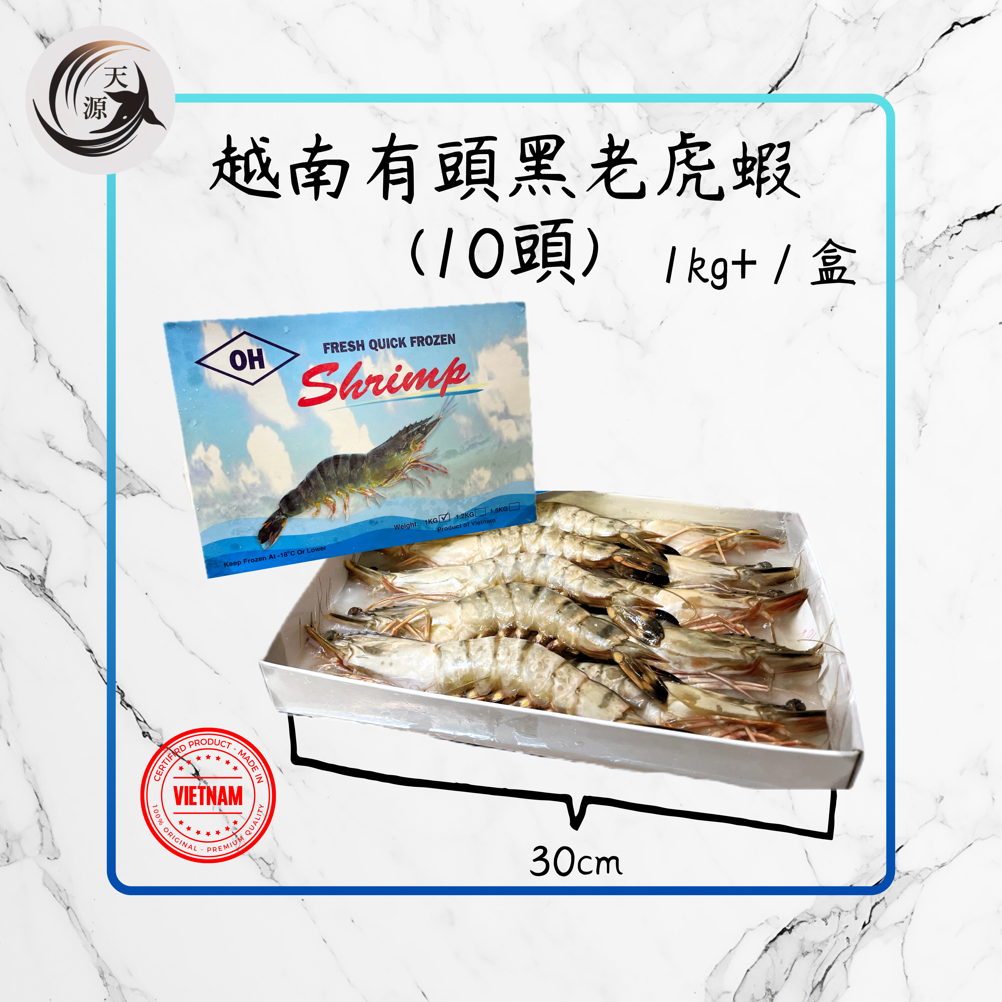 越南有頭黑老虎蝦 (10頭) 1kg