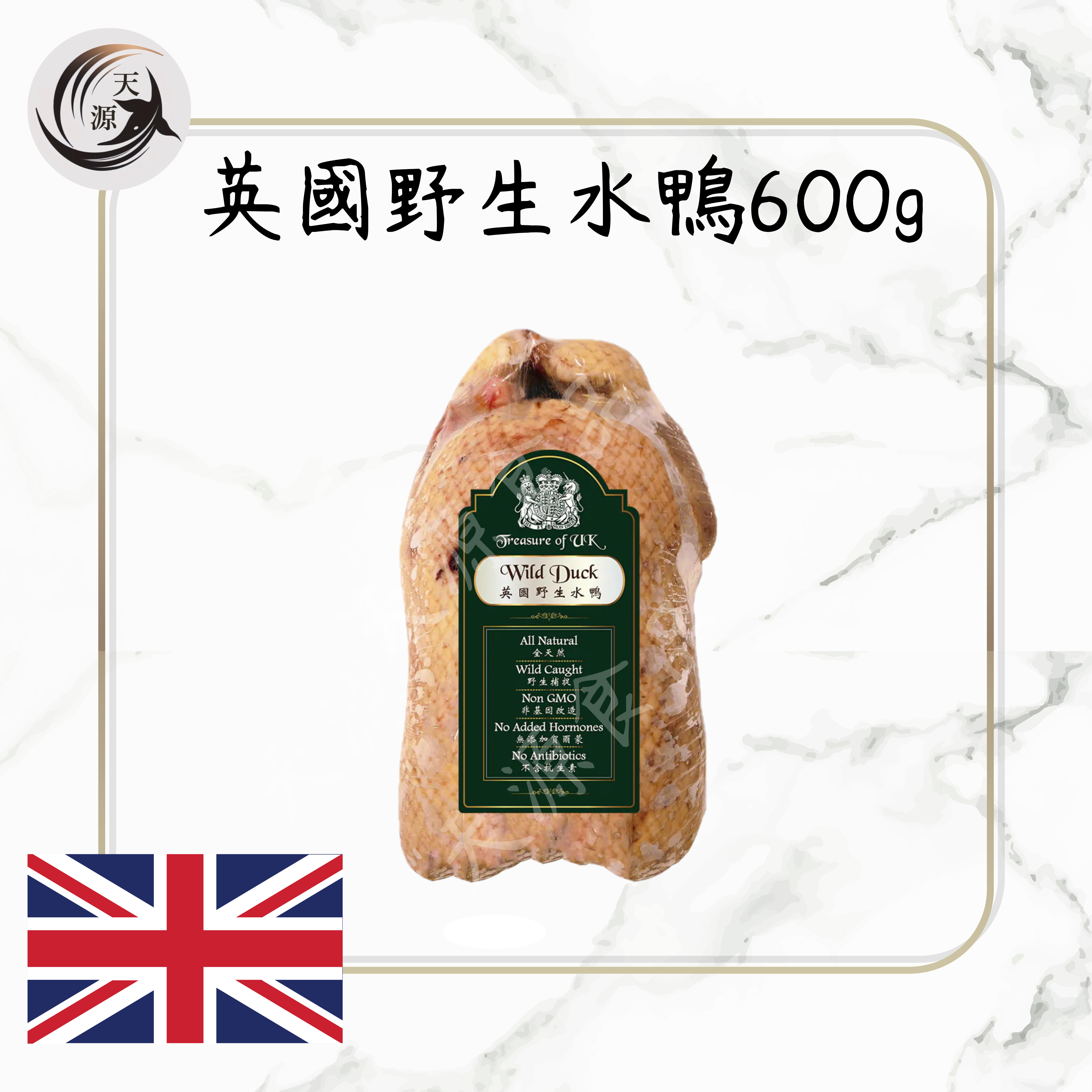英國野生水鴨