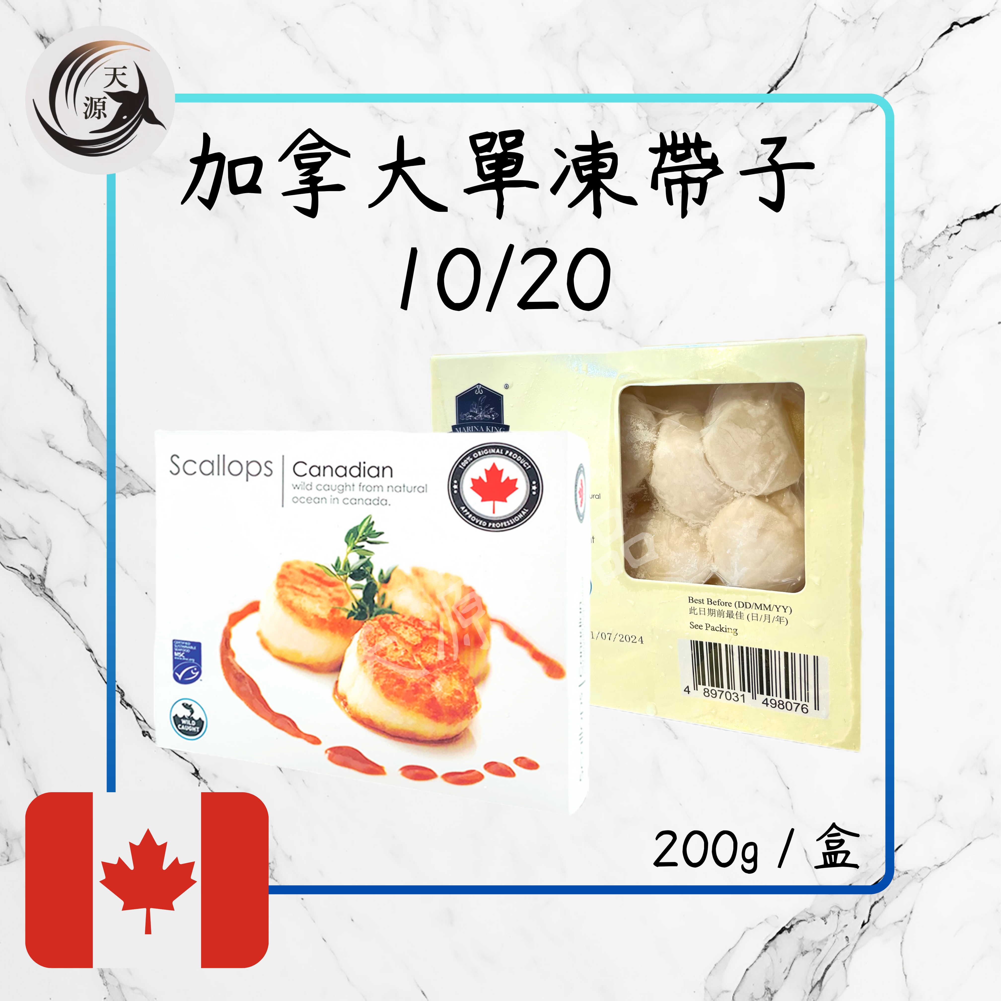 Canadian single frozen scallops 10/20 200g