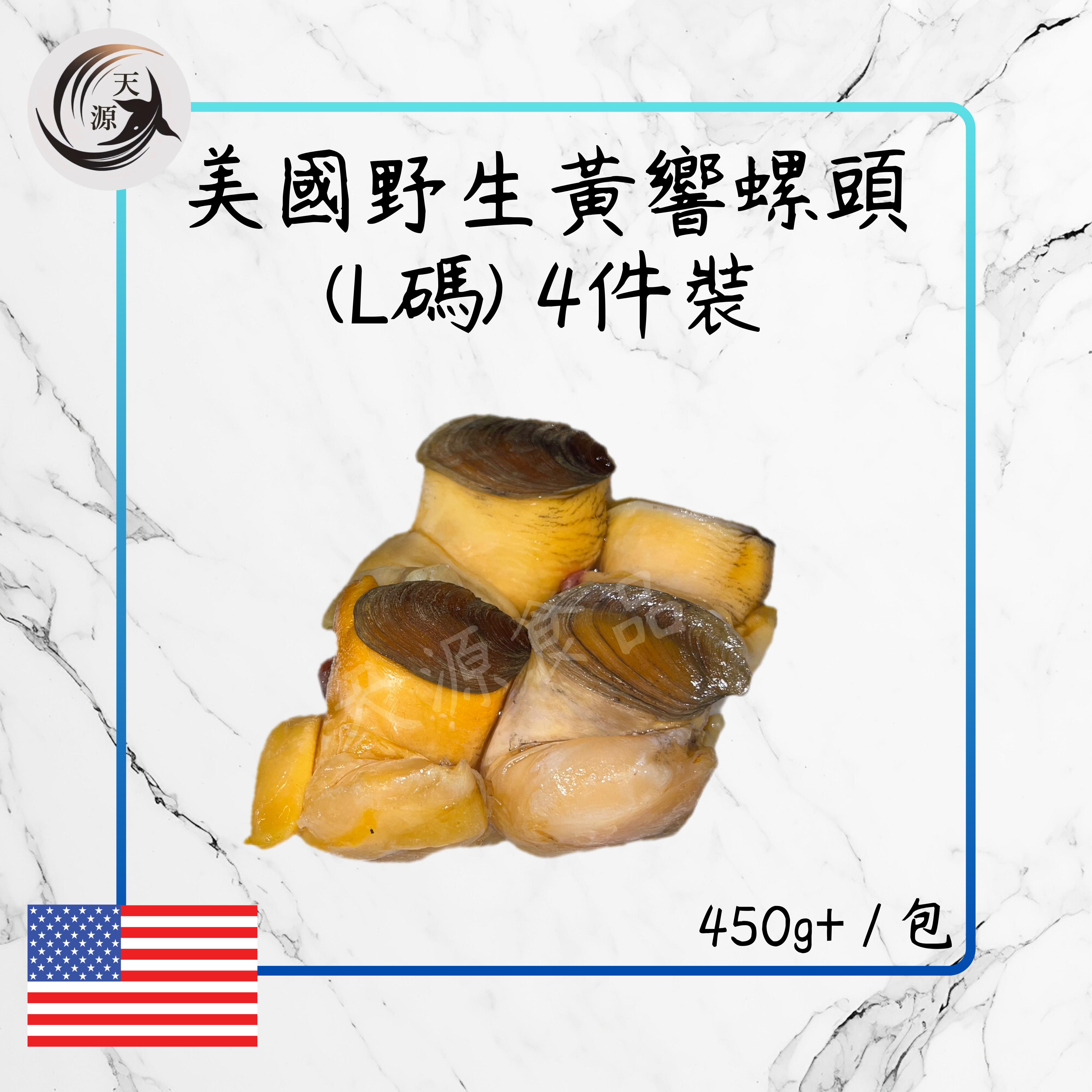 美國野生黃響螺頭(L碼) 4件裝